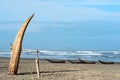 Traditional Peruvian small Reed Boats