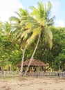 A traditional Philippine hut on the beach of Nagtabon. The island of Palawan.