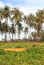 Traditional Philippines fishing boat Royalty Free Stock Photo