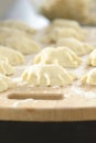 Traditional polish dumplings before being boiled Royalty Free Stock Photo