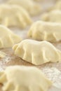 Traditional polish dumplings before being boiled Royalty Free Stock Photo