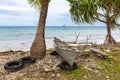 Traditional Polynesian outrigger canoe lies atop of old tires on rocky shore of Funafuti atoll lagoon, Tuvalu, Polynesia, Oceania.