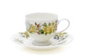 Traditional porcelain teacup