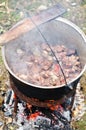 Traditional pork stew Royalty Free Stock Photo