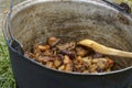 Traditional pork stew, in cauldron