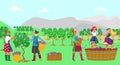 Traditional professional winemaker concept, character woman farmer together harvest grape tree wine flat vector