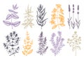 Traditional Provence herbs collection - savory, marjoram, rosemary, thyme, oregano, lavender. Hand-sketched kitchen herbs,