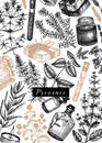 Traditional Provence herbs design. Hand-sketched aromatic and medicinal plants template. For cosmetics, perfumery, soap, candle