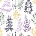 Traditional Provence herbs seamless pattern. Vector savory, marjoram, rosemary, thyme, oregano, lavender backdrop. Hand-sketched