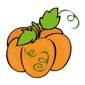 Traditional Pumpkin.