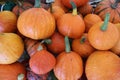 Traditional pumpkins