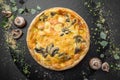 Traditional quiche pie with mushrooms, chicken and cheese