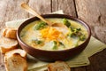 Traditional recipe of broccoli cheese soup with vegetables in a