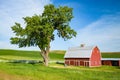 Traditional red barn and mature tree in scenic Eastern Washington