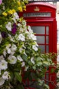 Traditional Red Telephone Box in Harrogate, North Yorkshire Royalty Free Stock Photo