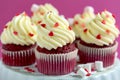 Traditional Red Velvet cupcakes Royalty Free Stock Photo