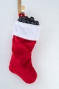 Traditional red and white plush Christmas stocking stuffed with coal shaped candy Royalty Free Stock Photo