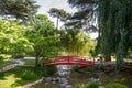 Traditional red wooden bridge on a japanese garden pond Royalty Free Stock Photo