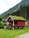 Traditional red wooden house with plants and grass on the roof. House in a green valley near a big mountain Royalty Free Stock Photo