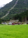 Traditional red wooden houses and grass on the roof. Houses and farms in a green valley near a big mountain. copy space Royalty Free Stock Photo