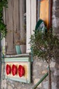 Traditional restaurant, Taverna front steps with plants, Royalty Free Stock Photo