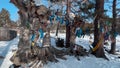 Traditional ribbons on trees to appease the spirits in the village of Arshan, Buryatia