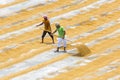 Traditional Rice Mill Worker turn over paddy for drying