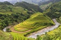 Traditional rice terrace fields in SAPA northern Vietnam Royalty Free Stock Photo