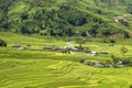 Traditional rice terrace fields in Mu Cang Chai to SAPA region Vietnam Royalty Free Stock Photo