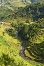 Traditional rice terrace fields in Mu Cang Chai to SAPA region Vietnam Royalty Free Stock Photo