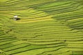 Traditional rice terrace fields in Mu Cang Chai to SAPA region Vietnam Royalty Free Stock Photo