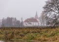 Traditional river bank vegetation in autumn, various reeds and grass on the river bank, bare trees and misty church silhouette in