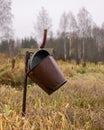 Traditional river bank vegetation in autumn, various reeds and grass on the river bank, bare trees, rusty metal bucket and pan on