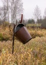 Traditional river bank vegetation in autumn, various reeds and grass on the river bank, bare trees, rusty metal bucket and pan on
