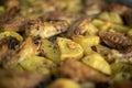 Traditional roast potatoes and chicken wings in the oven seasoned with rosemary Royalty Free Stock Photo