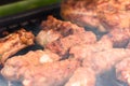 Traditional Romanian Barbecue With Pork Meat Rolls (Mici Or Mititei) Royalty Free Stock Photo