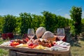 Traditional Romanian food plate with wine and vineyards in the b Royalty Free Stock Photo