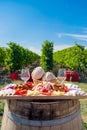 Traditional Romanian food plate with wine and vineyards Royalty Free Stock Photo