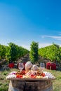 Traditional Romanian food plate Royalty Free Stock Photo