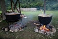 Traditional Romanian food, sarmale Royalty Free Stock Photo