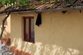 Traditional romanian house window