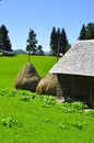 Traditional romanian village with straw bales Royalty Free Stock Photo