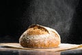 Traditional round artisan rye bread loaf with walnut and seeds w