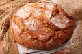 Traditional round rye bread