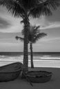 Traditional round Vietnamese boats and palm trees on Danang beach Royalty Free Stock Photo