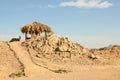 Traditional rural African reed and thatch hut Royalty Free Stock Photo