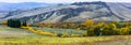 Traditional rural scenery of beautiful Tuscany. Italy