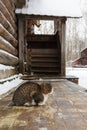 Traditional rural wooden house in winter