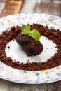 Traditional russian cake Kartoshka chocolate truffle sponge cake. Balls of vanilla biscuit with cocao powder, butter cream and Royalty Free Stock Photo