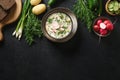 Traditional Russian cold okroshka soup with kefir or airan Royalty Free Stock Photo